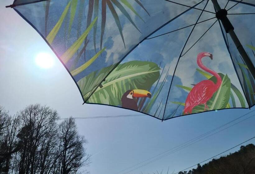 La Perle De Frayssinet Le Gélat   Chambre D Hôtes   B&b