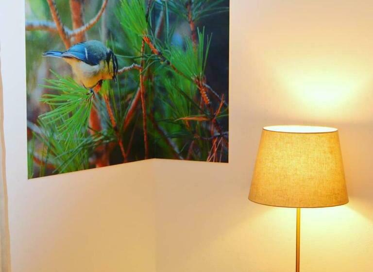 Monte Da Floresta B&b