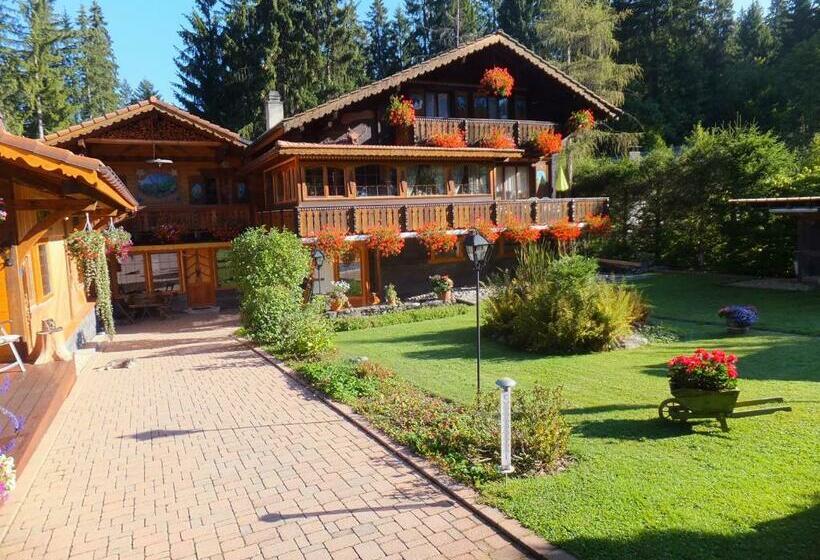 פנסיון Au Petit Gîte Les Paccots