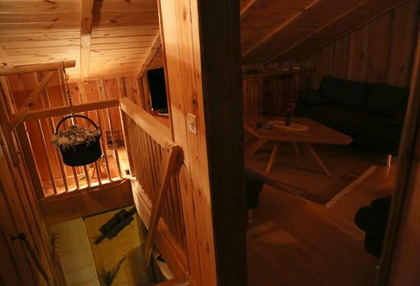 פנסיון Au Petit Gîte Les Paccots