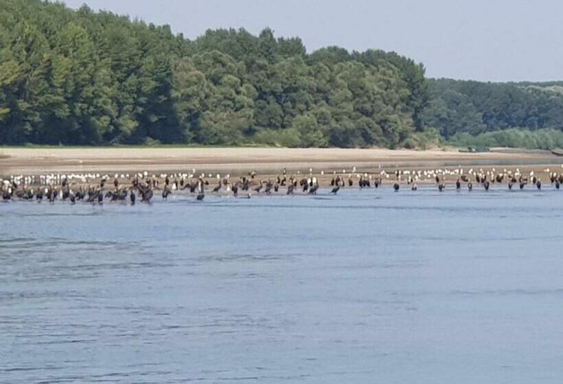 ペンション Casa Antonia Si Maria