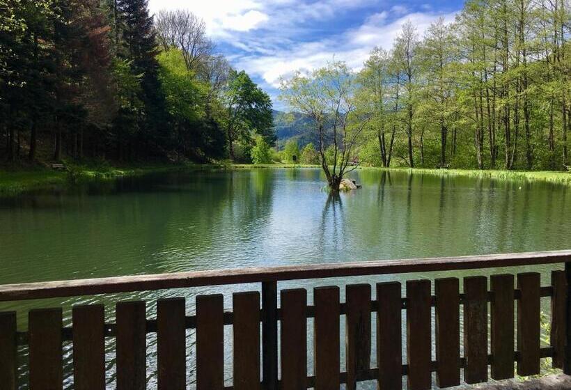 膳宿费 Chambres D Hôtes Des Cascades St Nicolas