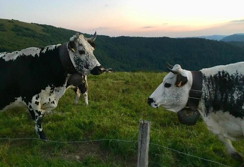 膳宿费 Chambres D Hôtes Des Cascades St Nicolas