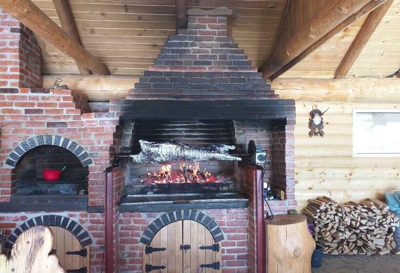 펜션 Hanul Vanatorului