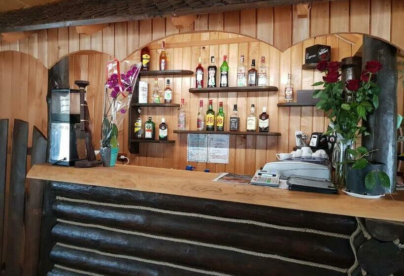 펜션 Hanul Vanatorului