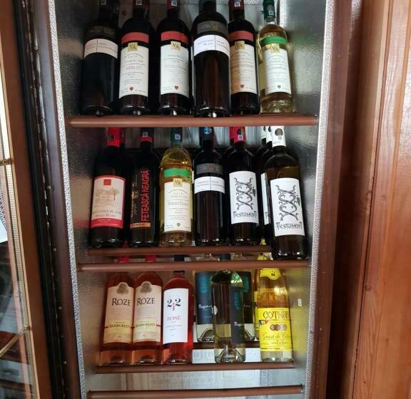 펜션 Hanul Vanatorului