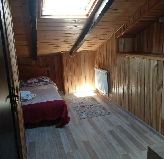 펜션 Hanul Vanatorului