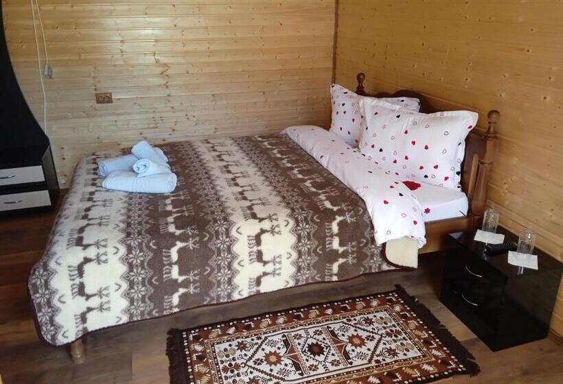 펜션 Hanul Vanatorului