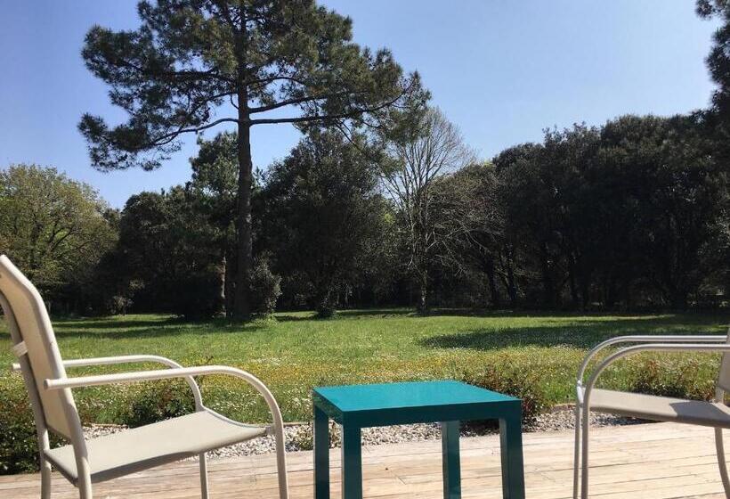 膳宿费 Les Naiades