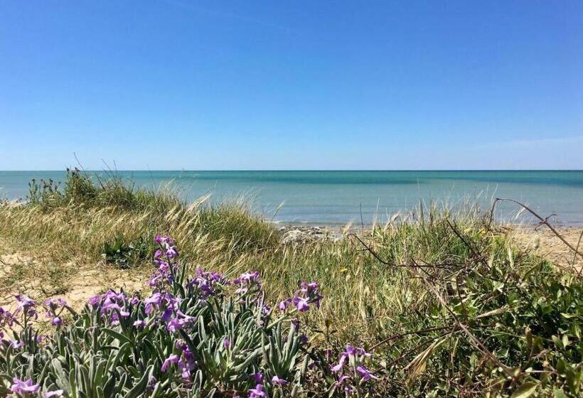 膳宿费 Les Naiades