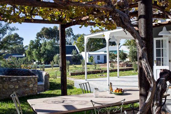 بنسيون Olive Grove House