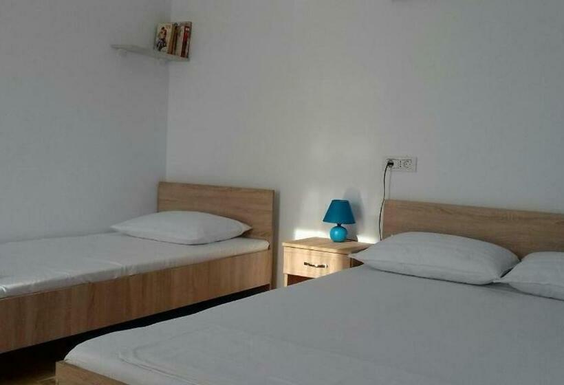 ペンション Terra Nova Solis