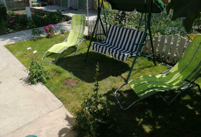 ペンション Terra Nova Solis