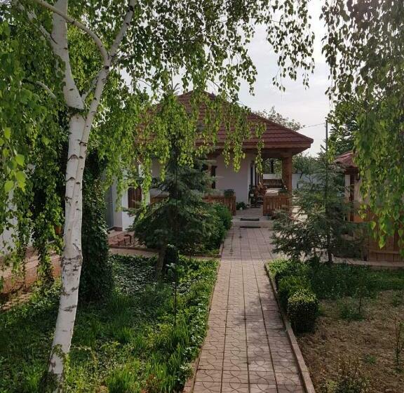 بنسيون Verada Tour Guest House