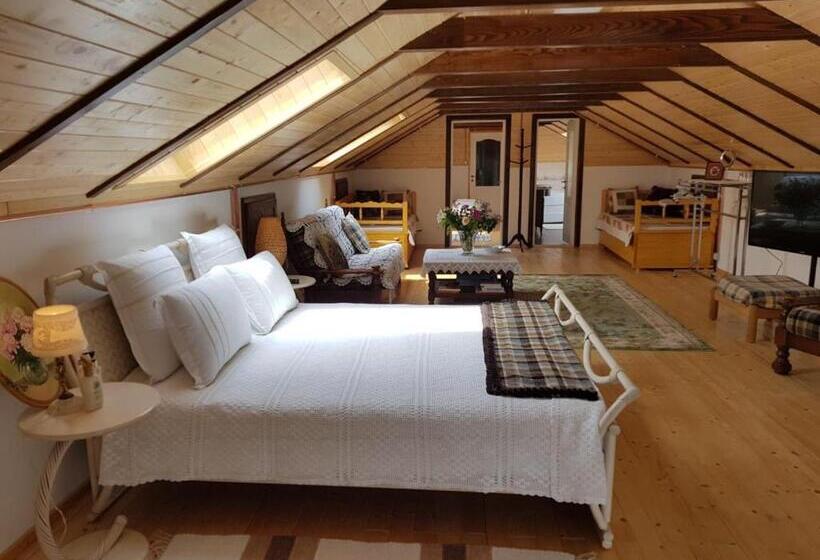 بنسيون Verada Tour Guest House