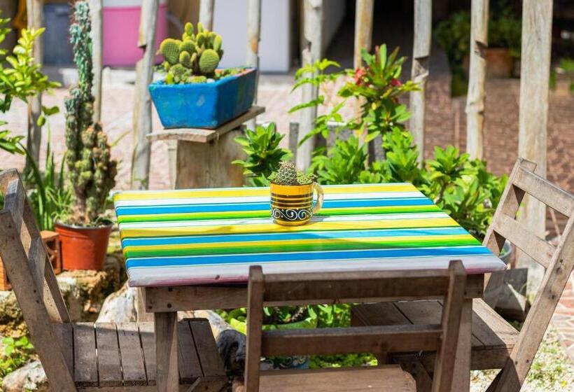 Zayali Bacalar   Guest House
