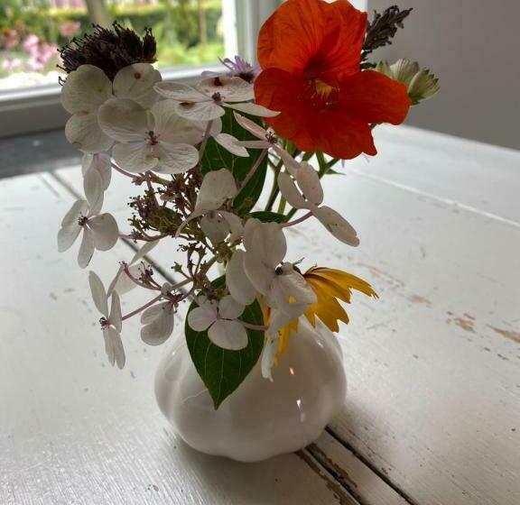 B&b Boerderij De Vaete   Duurzaam Genieten In De Zak Van Zuid Beveland