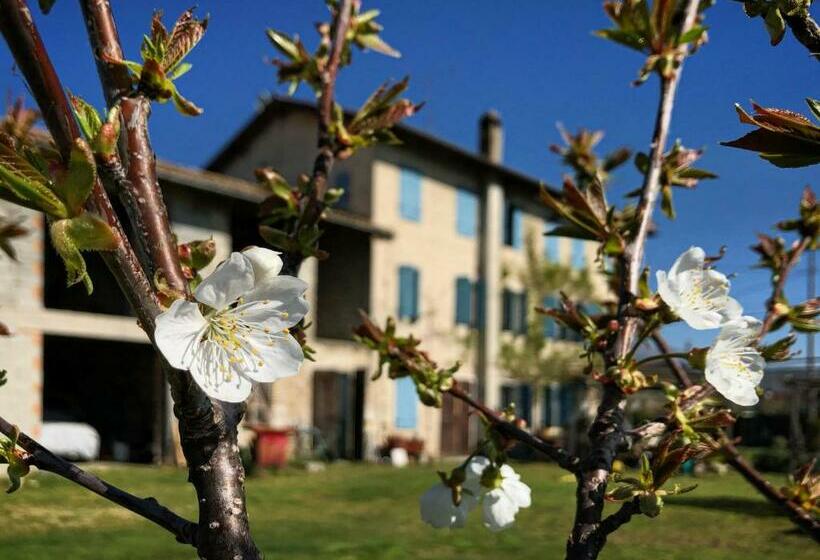 Room In B&b   B&b Carlonga A Double Room For Two People