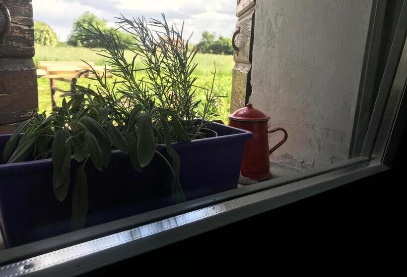 Room In B&b   B&b Carlonga A Double Room For Two People