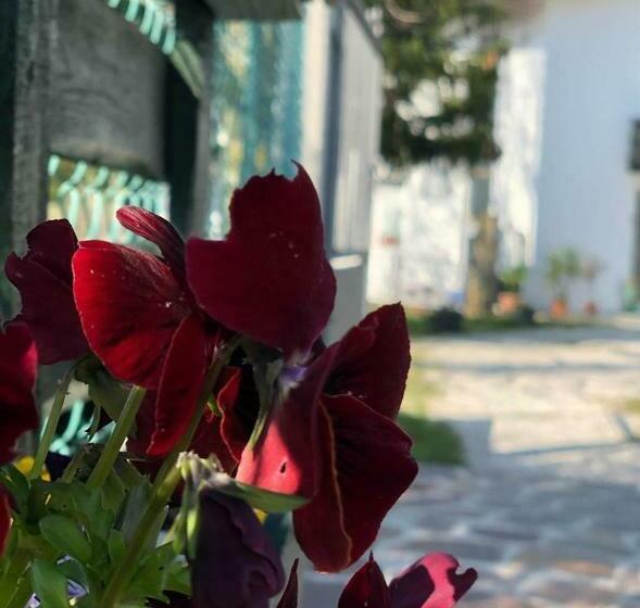 Bed and Breakfast Casaroman