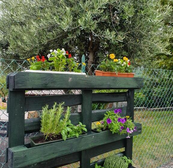 Bed and Breakfast Casaroman