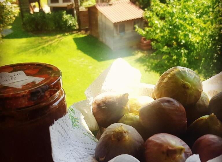 Bed and Breakfast Casaroman