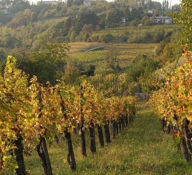 Bed and Breakfast Casaroman