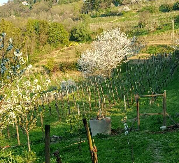 Bed and Breakfast Casaroman