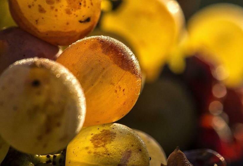 민박 Château Sigalas Rabaud