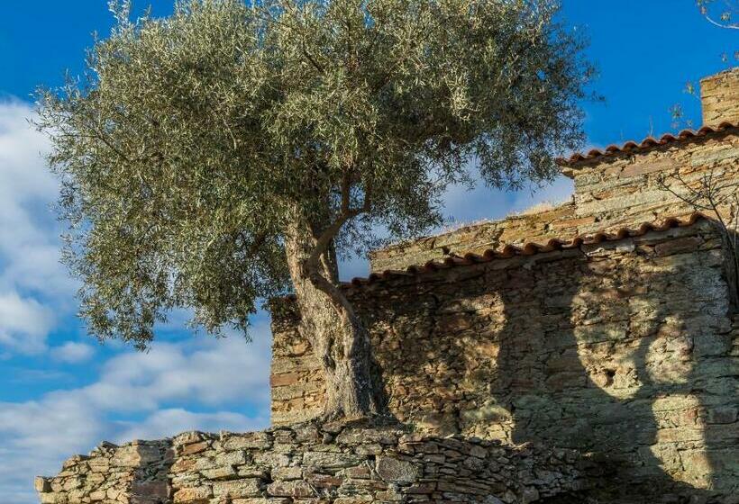 Bed and Breakfast Dois Lagares House