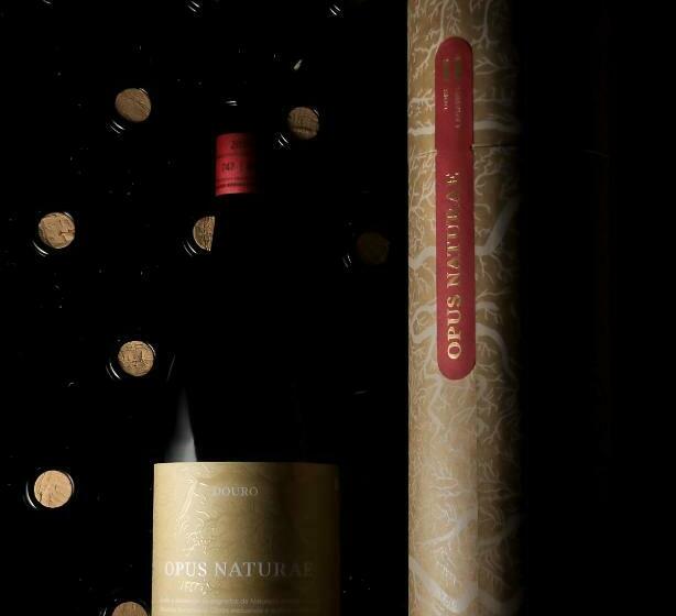 Bed and Breakfast Dois Lagares House