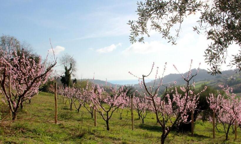 مبيت وإفطار Gaeleon Campofilone