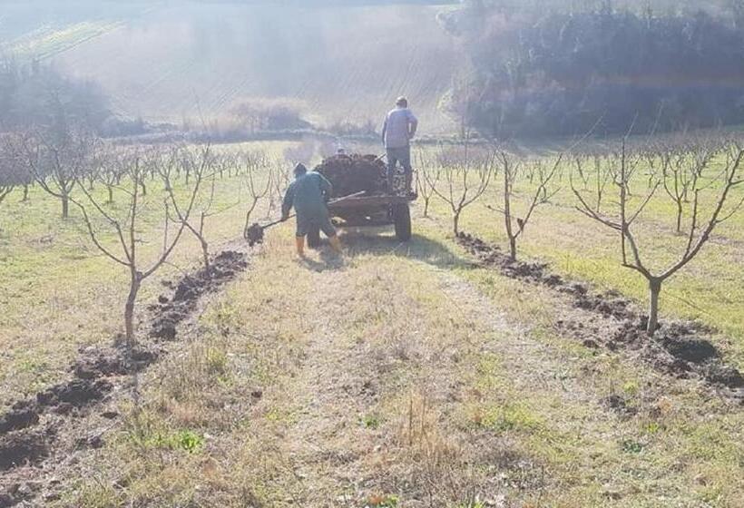 مبيت وإفطار Gaeleon Campofilone