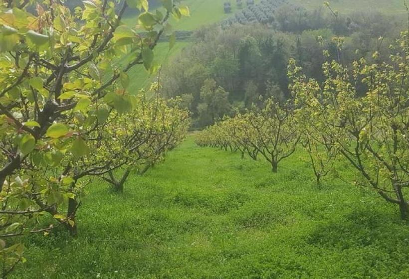 مبيت وإفطار Gaeleon Campofilone