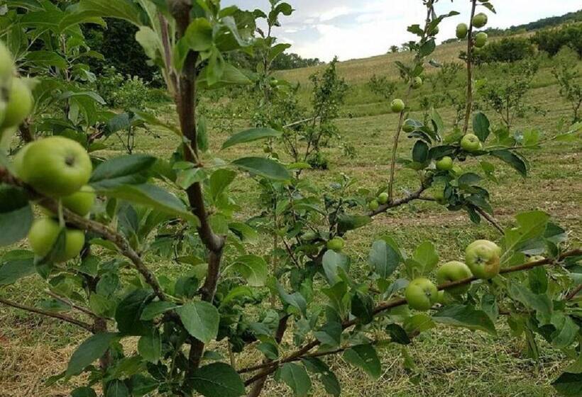 مبيت وإفطار Gaeleon Campofilone