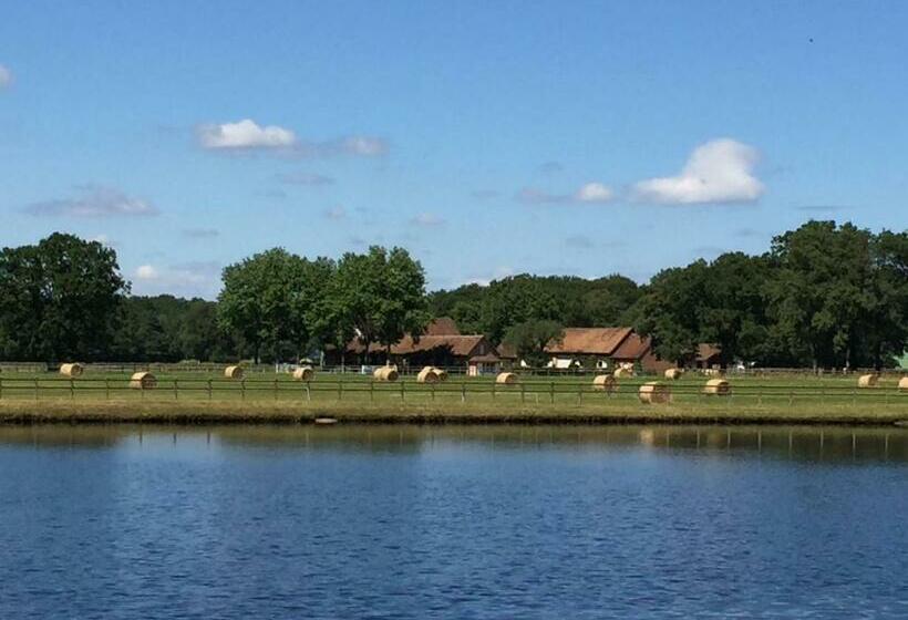 ベッドアンドブレックファースト Haras Du Vignault Le Bûcher