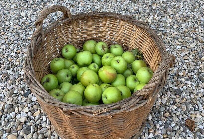 Nocleg ze śniadaniem La Luce Delle Colline