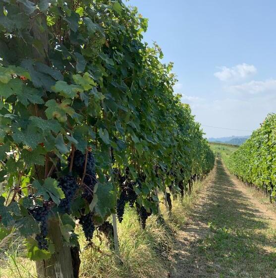 Nocleg ze śniadaniem La Luce Delle Colline