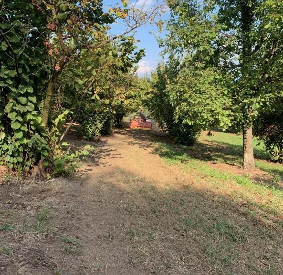 Nocleg ze śniadaniem La Luce Delle Colline