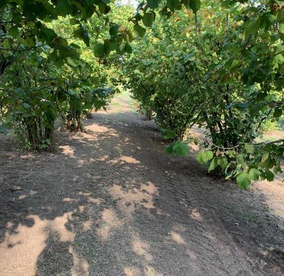 Nocleg ze śniadaniem La Luce Delle Colline