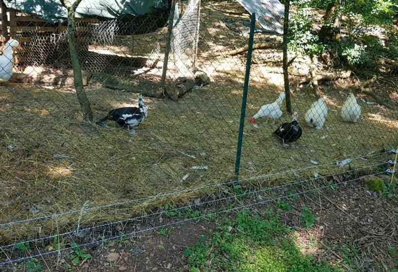 住宿加早餐  La Providence, Chambres D Hôtes