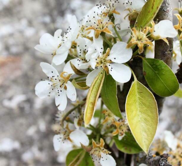 住宿加早餐 L’ostréale