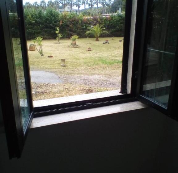 住宿加早餐  Mamena