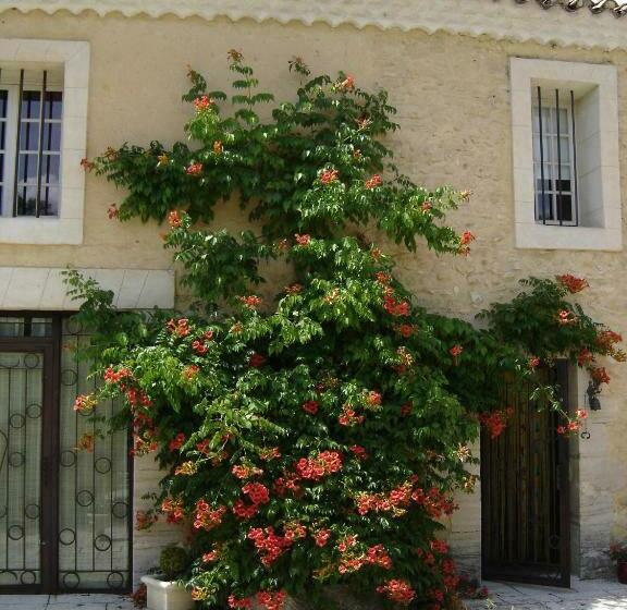 Bed and Breakfast Mas Solige