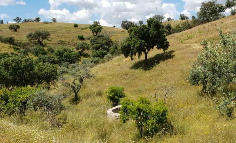 Bed and Breakfast Monte Anna