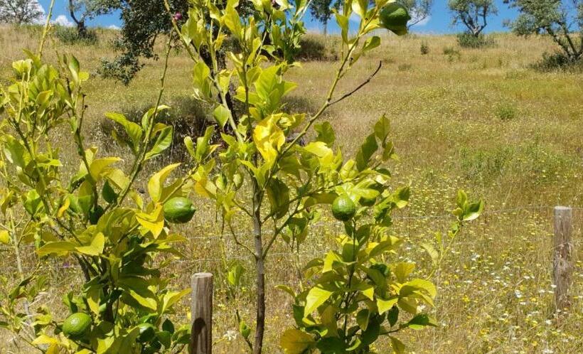 Bed and Breakfast Monte Anna