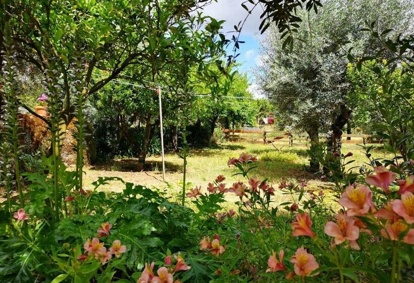 مبيت وإفطار Quinta Dos Church