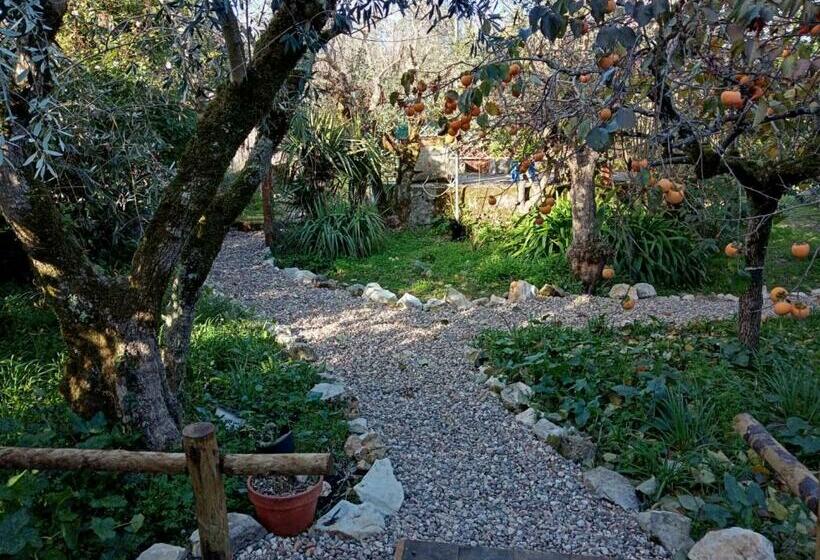 צימר Quinta Dos Church