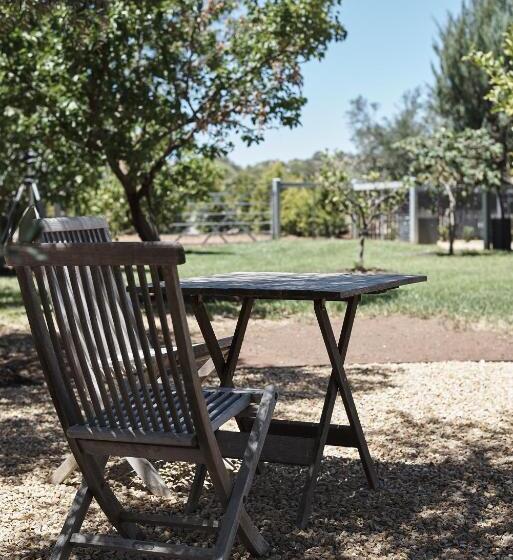 住宿加早餐 Tomfoolery Winemaker S Cottage Barossa Valley