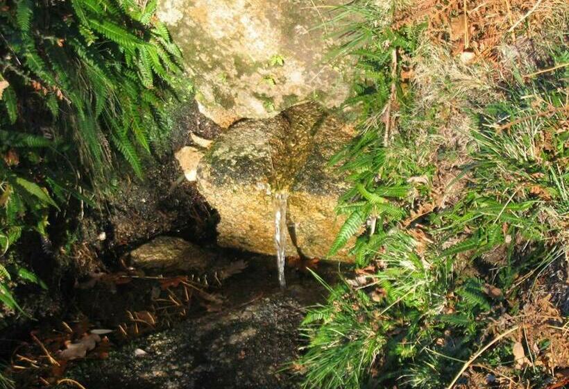 בית מלון כפרי Casa Montanha